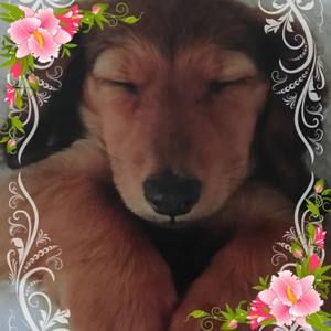 Meet your Posher, Margaret